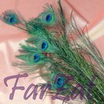 Pene paun 100 cm - imagine 3