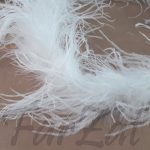 Fular ( boa ) cu pene strut alb