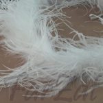 Fular pene strut ivoire