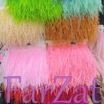 Pene de strut pe banda - imagine 7