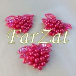 Aplicatie Struguras cod 65