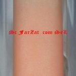 Tesatura tiul cristal somon