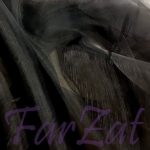 Organza neagra - imagine 6