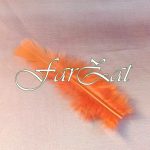 Pene decorative portocaliu