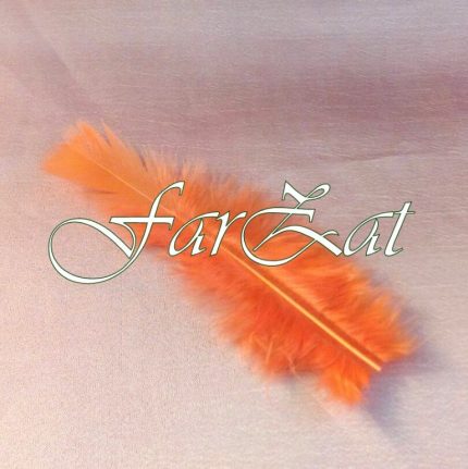 Pene decorative portocaliu