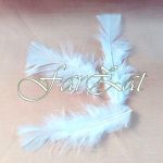 Pene Decorative de cocos albe - imagine 3