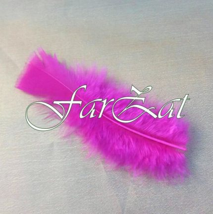 Pene decorative ciclam