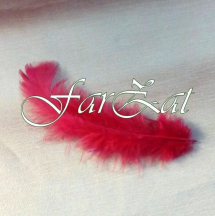 Pene decorative rosii