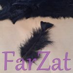 Pene decorative negre - imagine 2