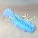 Pene decorative de cocos bleu