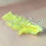 Pene decorative galbene