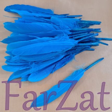 Pene decorative de porumbel - Turcoaz