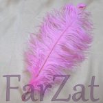 Pene de strut 45 cm - imagine 2