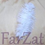 Pene de strut 45 cm - imagine 5