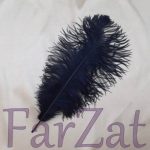 Pene de strut 45 cm - imagine 6