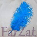 Pene de strut 45 cm - imagine 7