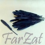 Pene decorative de porumbel - negre - imagine 2