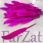 Pene decorative de porumbel - Ciclam