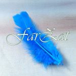 Pene decorative albastre - imagine 3