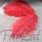 Pene de strut rosii de 15-25 cm - imagine 2