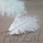 Pene ivoire de strut la 15-25 cm