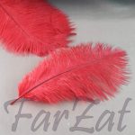 Pene de strut rosii de 15-25 cm