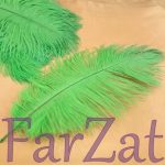 Pene strut 15-25 cm - Verde fistic