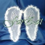 Aripi de inger cod 6 - imagine 2