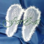 Aripi de inger cod 6