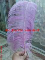 Pene de strut 60-70cm - imagine 2