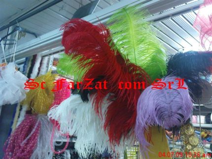 Pene de strut 60-70cm