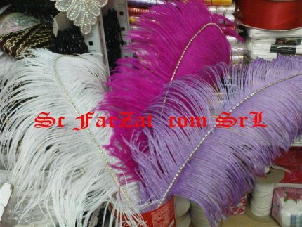 Pene de strut cu strasuri
