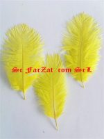 Pene de strut 15-25 cm - imagine 4