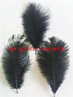 Pene de strut 15-25 cm - imagine 5