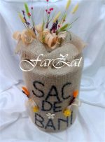 Casuta de bani cod 24 - imagine 3