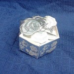 Cutiute marturii model 7