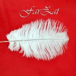 Pene albe strut 10 - 15 cm