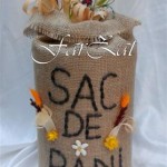 Casuta de bani cod 24