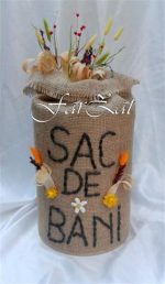 Casuta de bani cod 24