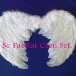 Aripi de inger cod 4