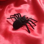 Set 4 paianjeni Halloween