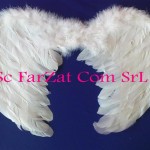 Aripi de inger cod 8