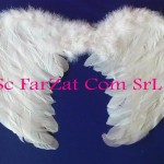 Aripi de inger cod 8