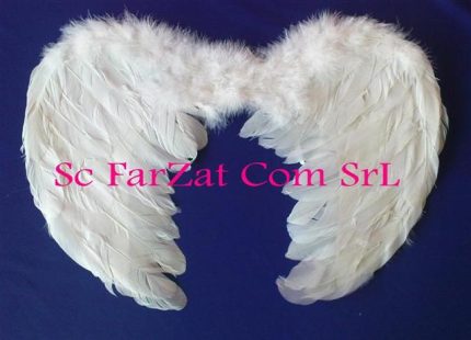 Aripi de inger cod 8