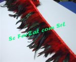 Banda pene de cocos si fazan rosie - imagine 6