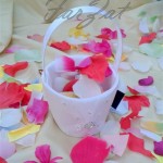 Cosulet petale cod 1