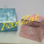 Cutie marturii botez