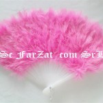 Evantai pene roz deschis