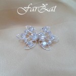 Inchizatori brandenburg cod 10