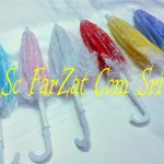 Marturii nunta umbrelute